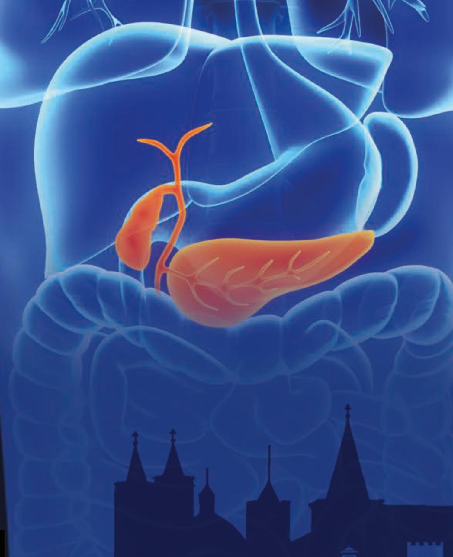 Ecoendoscopia ed Ercp nel Piceno: nuove opportunità nella gestione multidisciplinare delle neoplasie del pancreas e delle vie biliari