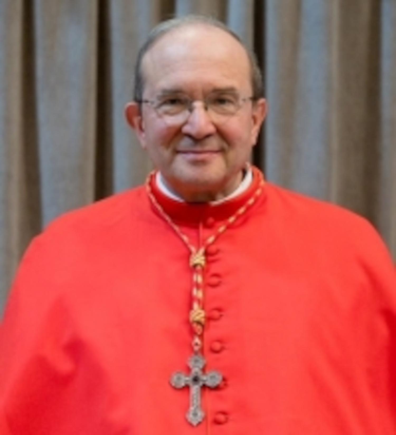 Il Cardinale Petrocchi nominato presidente dello IOR