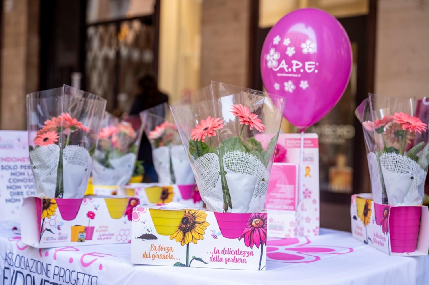 'Vetrine Consapevoli', promossa da A.P.E. – Associazione Progetto Endometriosi in collaborazione con WAP – associazione dei commercianti della città