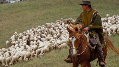 TRANSUMANZA…per sentieri ed antichi tratturi