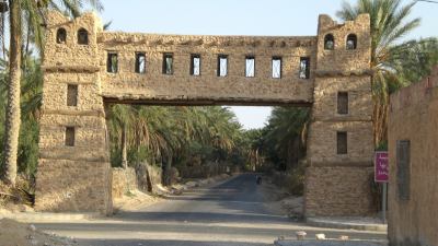 Datterificio innovativo proposto dal Piceno alla Tunisia