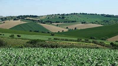 Agricoltura Marche, finanziamenti europei utilizzati al massimo