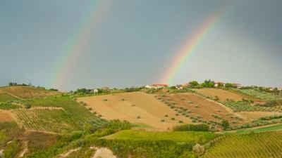 'Terroir Marche - Vini e vignaioli bio in fiera', prima edizione