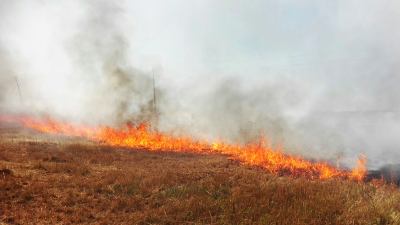 Anziana muore nell'incendio divampato in un campo vicino alla sua casa