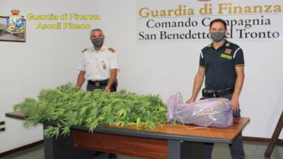 Scoperto dalle Fiamme gialle  'giardino relax' alla marijuana. Denunciata 34enne di Spinetoli