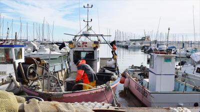 Festa della Piccola Pesca a San Benedetto del Tronto il 26 e 27 giugno 2021:  Pescaturismo 'In Blu Turismo Sostenibile in Adriatico'