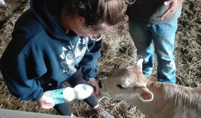 Coldiretti Marche, Granarolo aumenta il premio latte: “Altri si adeguino subito o sarà morte settore